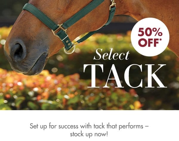 Set up for success with tack that performs - stock up now!