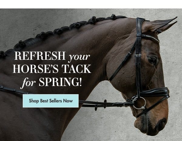 Refresh your horse's tack for spring! Shop best sellers now