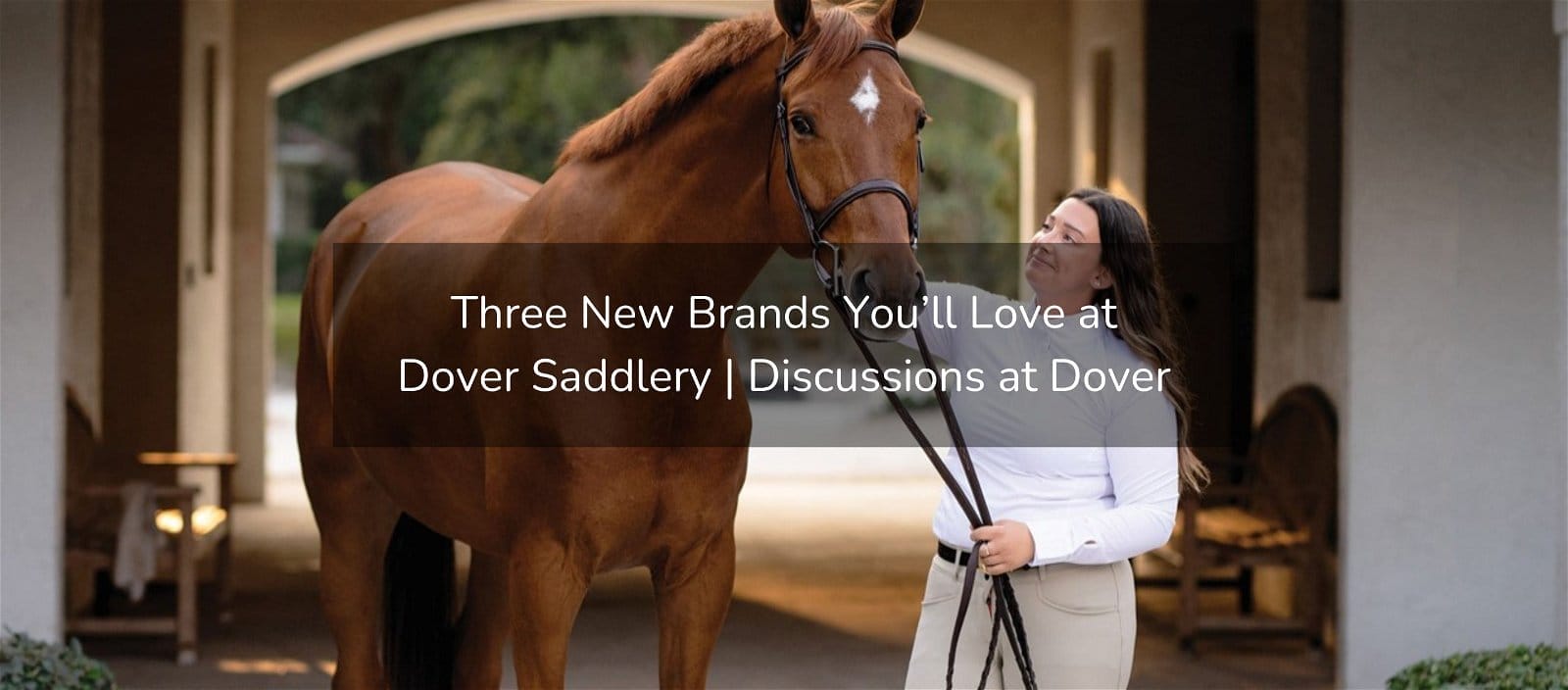 New Blog Post: "Three New Brands You’ll Love at Dover Saddlery"