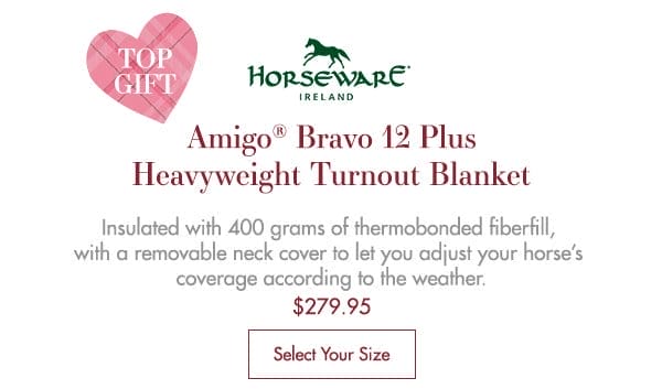 Horseware® Ireland Amigo® Bravo 12 Plus Heavyweight Turnout Blanket - \\$279.95