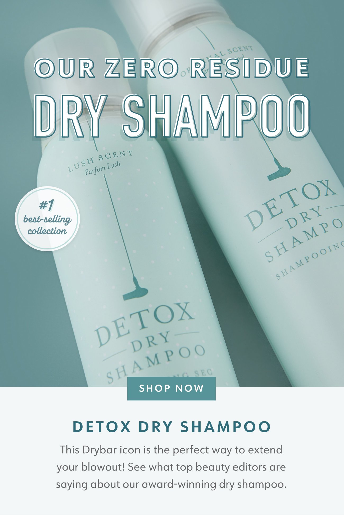 Detox Dry Shampoo