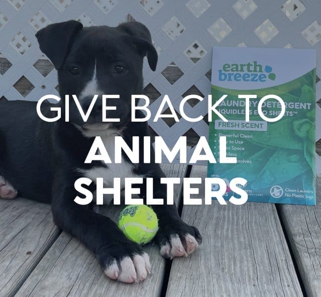 Give back to animal shelters