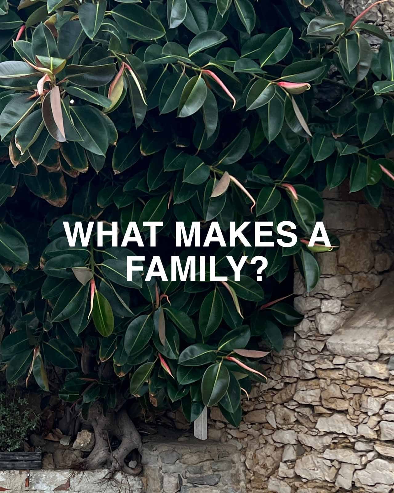 Green plant with text that reads What makes a family