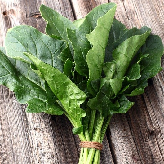 Bloomsdale Spinach