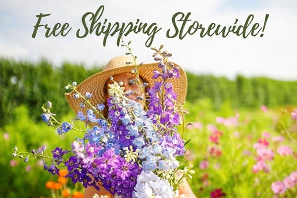 Free Shipping Storewide!