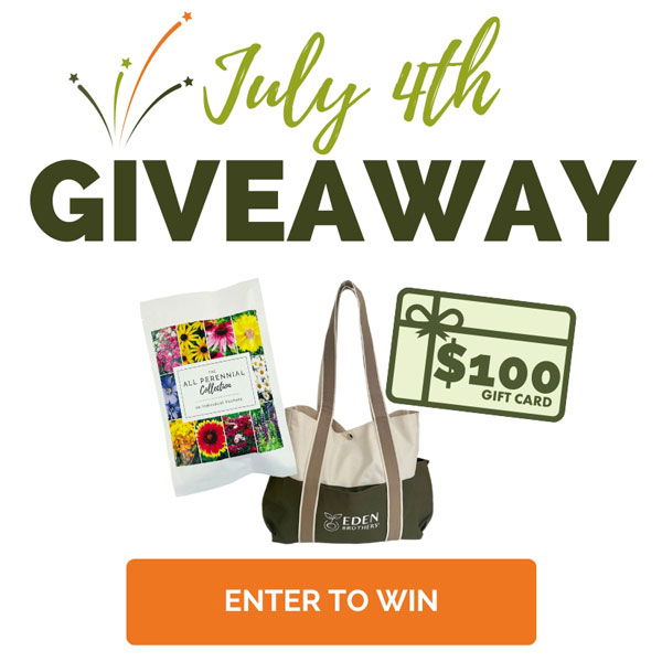 July 4th Giveaway