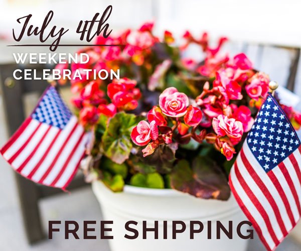 Free Shipping for July 4th Weekend Sale