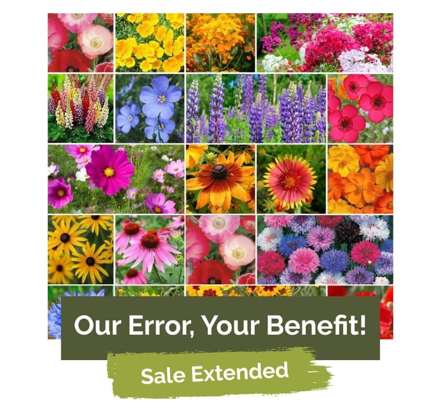 Our Error, Your Benefit! Sale Extended!