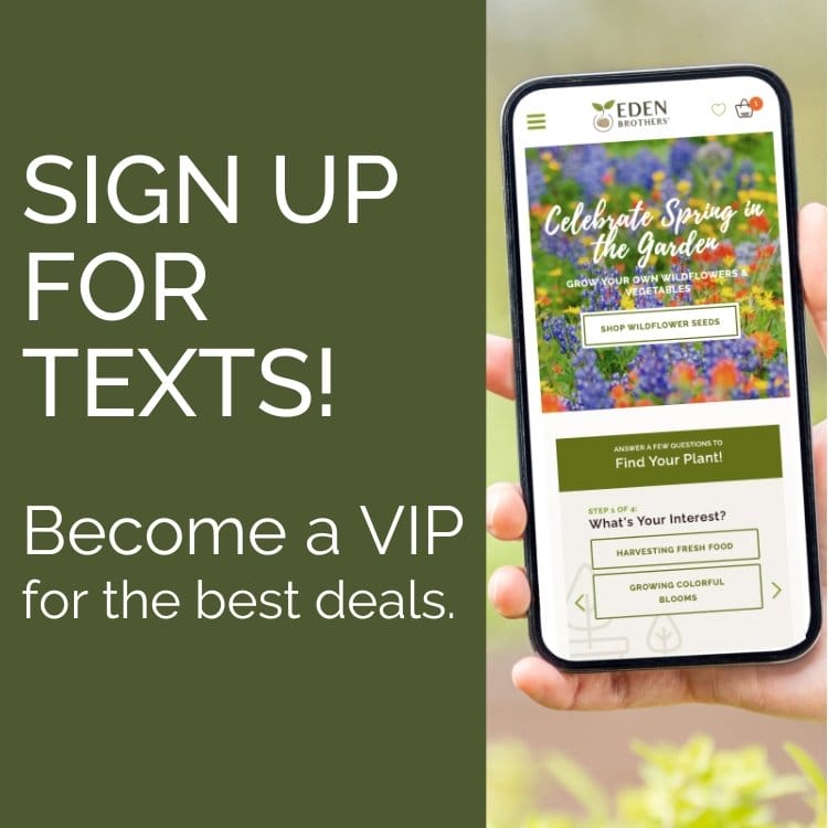 Sign Up for Texts!