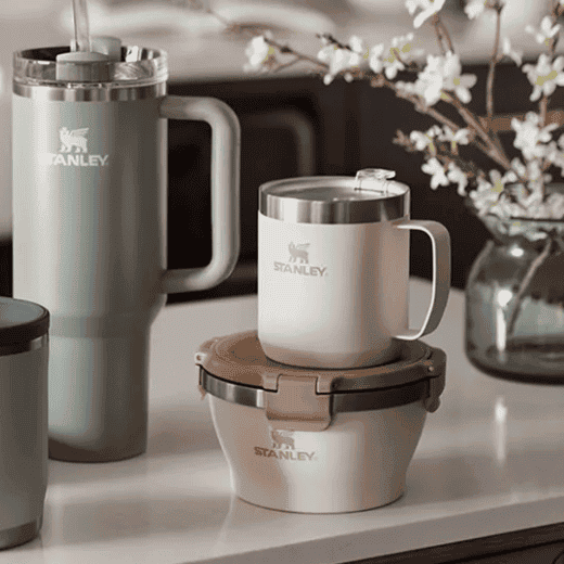 Joanna Gaines Just Dropped New Stanley Items at Target