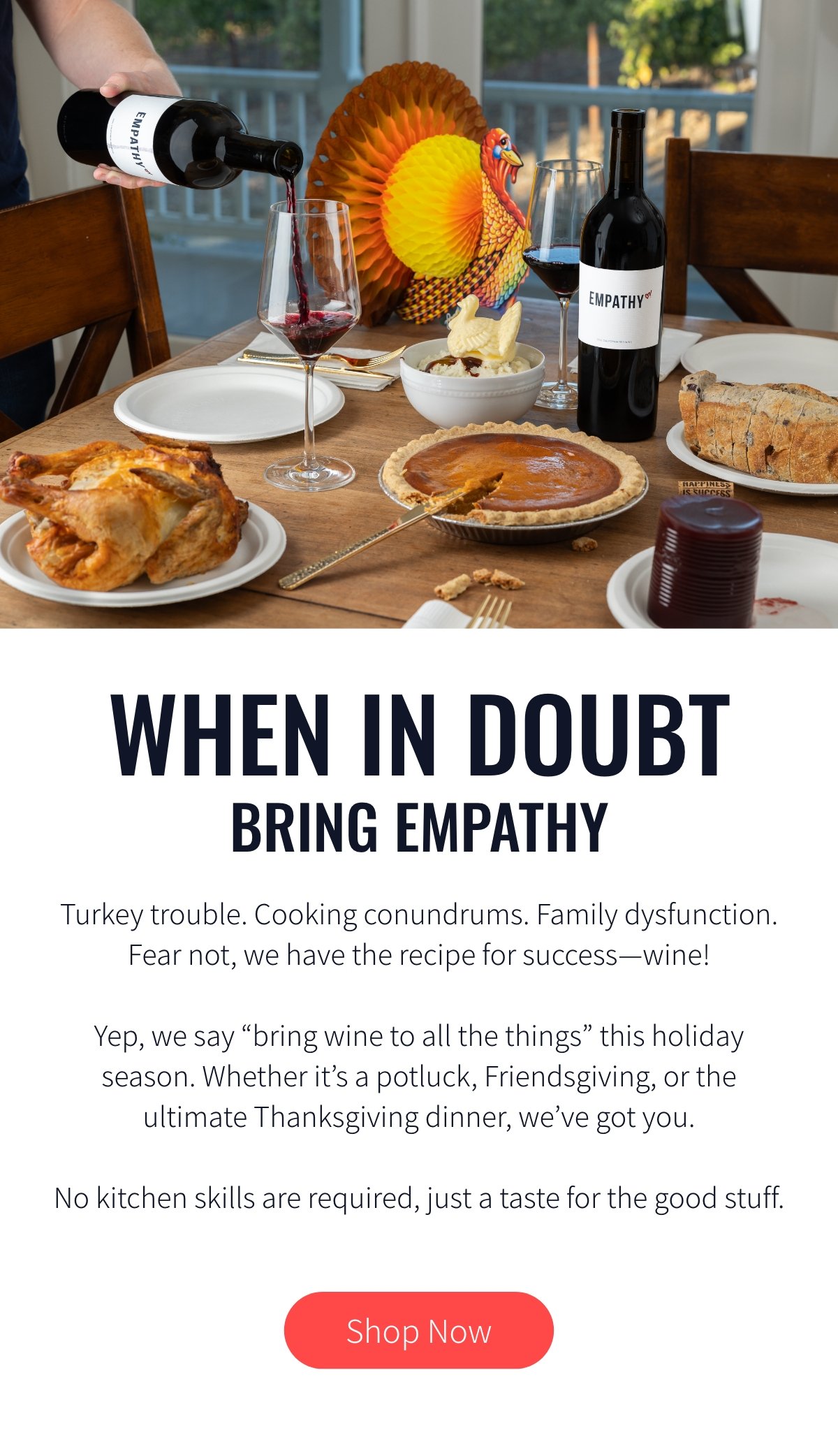 WHEN IN DOUBT Bring Empathy. Turkey trouble. Cooking conundrums. Family dysfunction. Fear not, we have the recipe for success—wine! Yep, we say “bring wine to all the things” this holiday season. Whether it’s a potluck, Friendsgiving, or the ultimate Thanksgiving dinner, we’ve got you. No kitchen skills are required, just a taste for the good stuff.