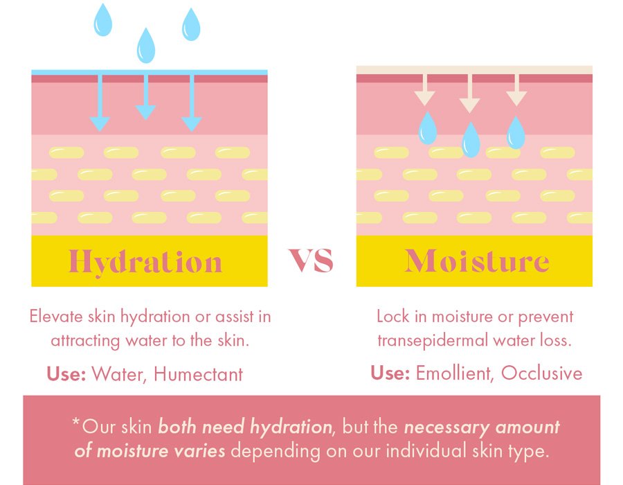 Hydration VS Moisture graph