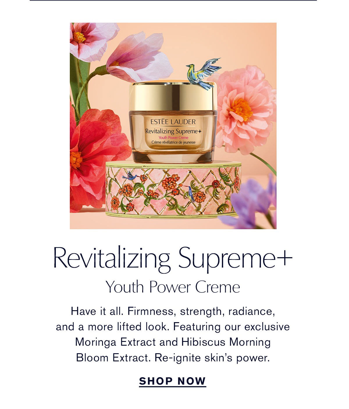 Revitalizing supreme+