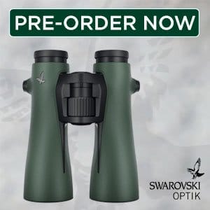 Swarovski NL Pure 10x52 Binoculars 36013