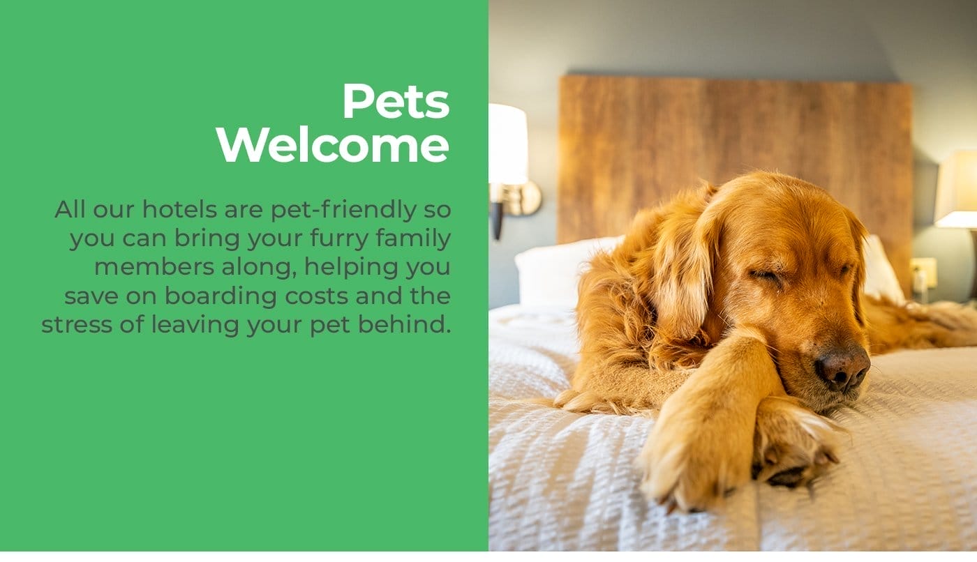 Pets Welcome