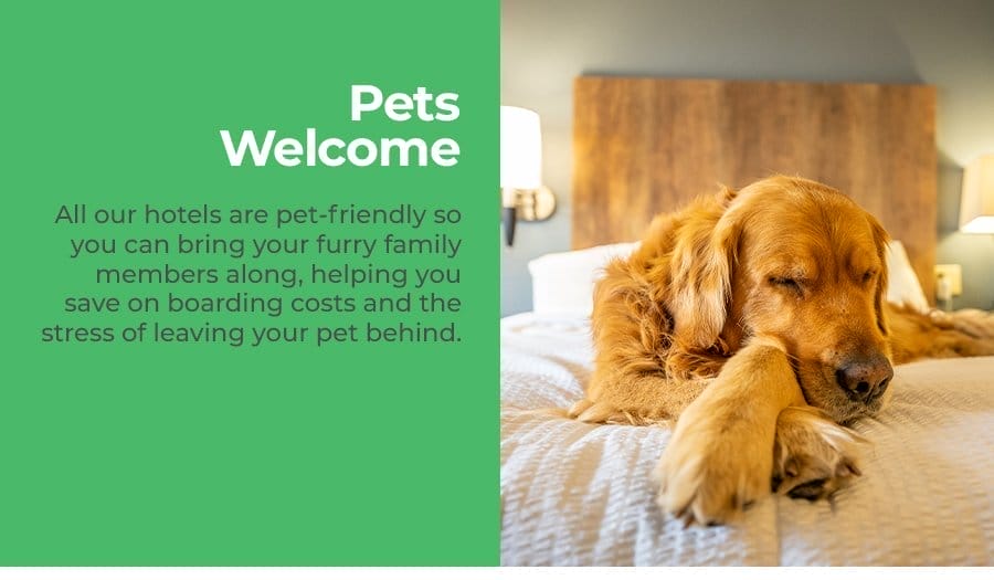 Pets Welcome