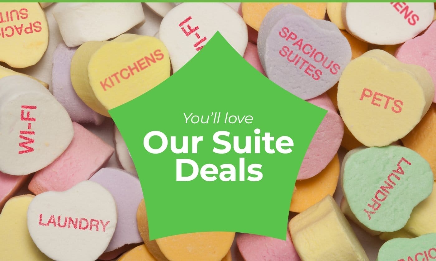 You'll love Our Suite Deals