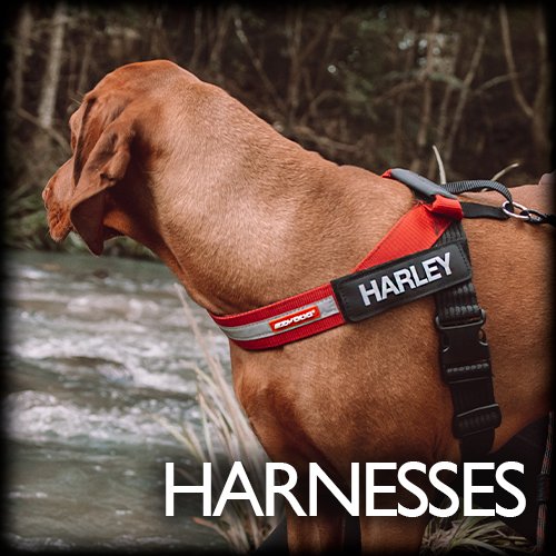 Harnesses