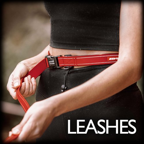 Leashes