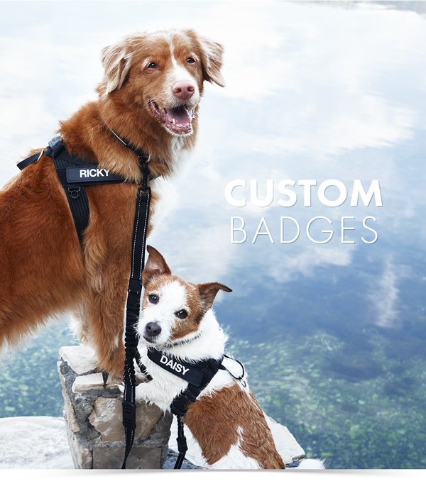 Custom badges