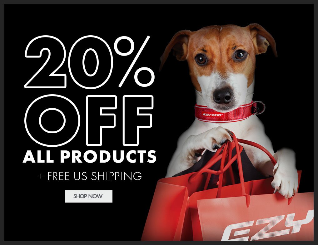 20% Off All Products