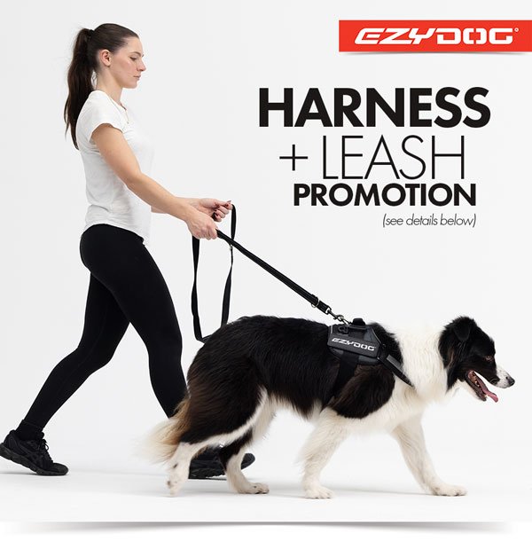 Harness+ Leash promo