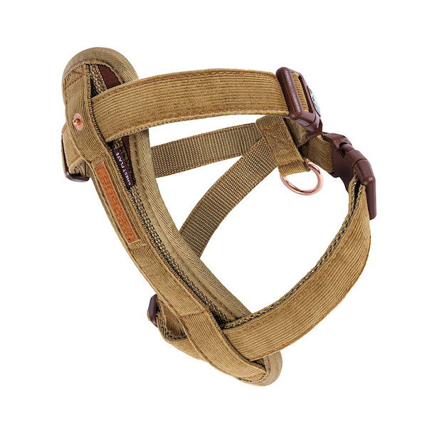 Image of Corduroy - Chest Plate™ Harness