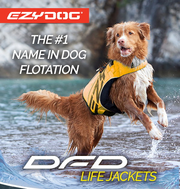 DFD Life Jackets