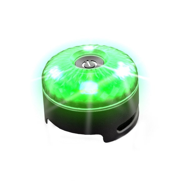 Image of GO2 Multi-Color Dog Light