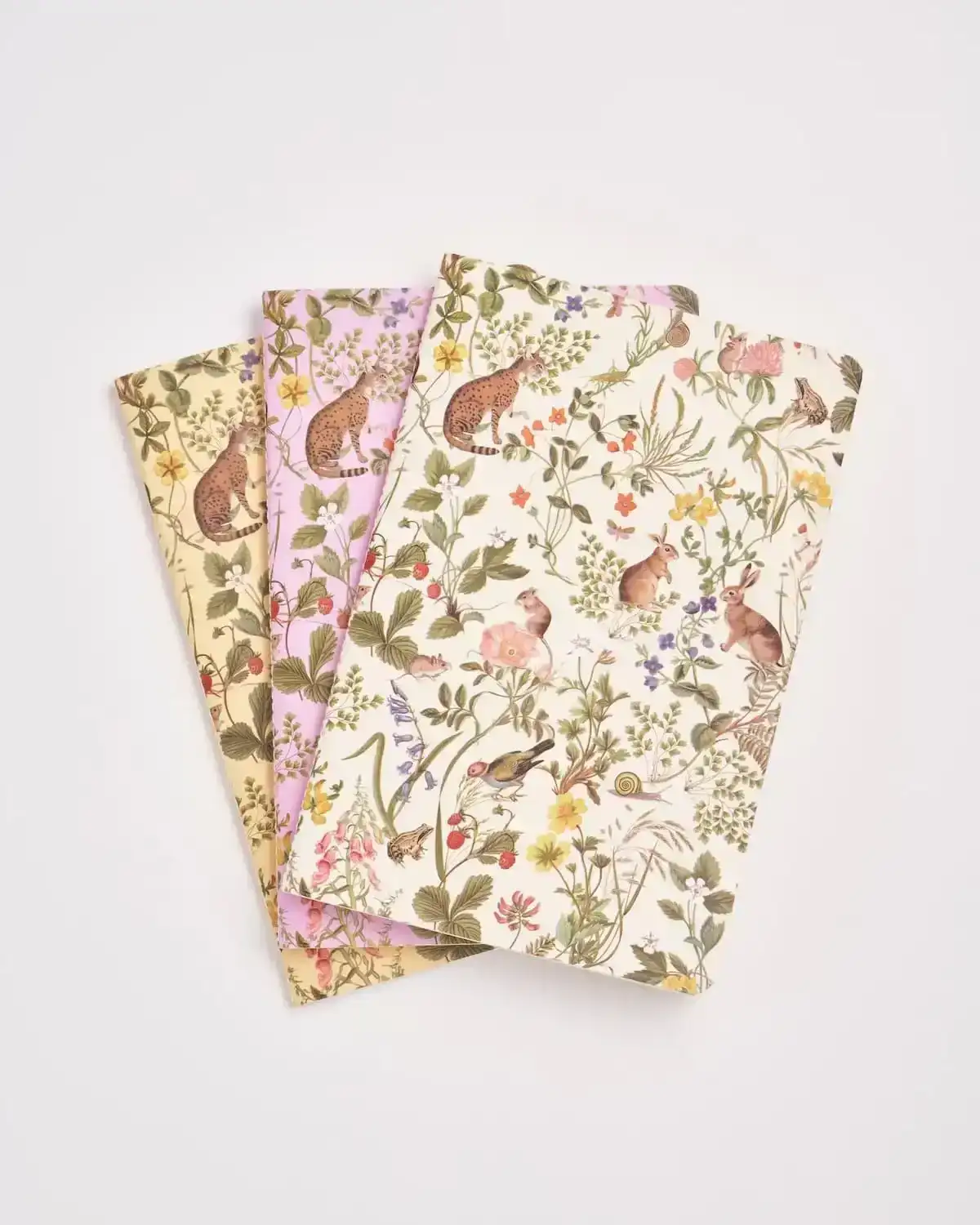 Image of Meadow Creatures Notebooks Pack Of 3