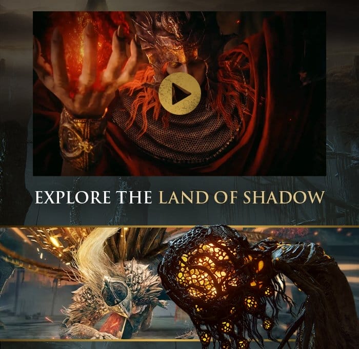 Explore the Land of Shadow