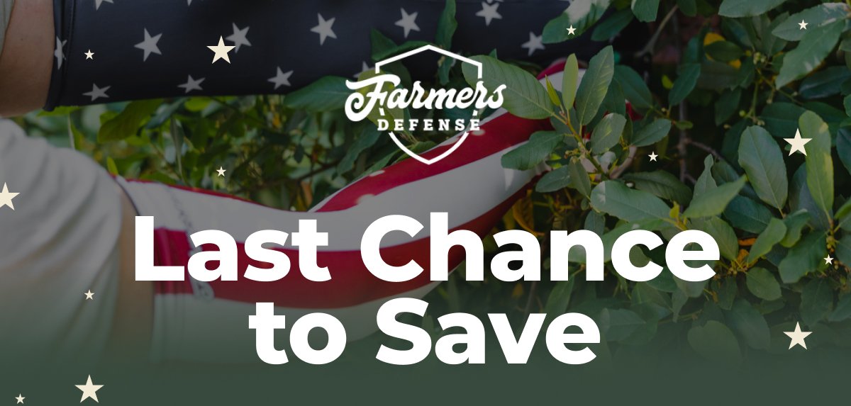 Last Chance to Save