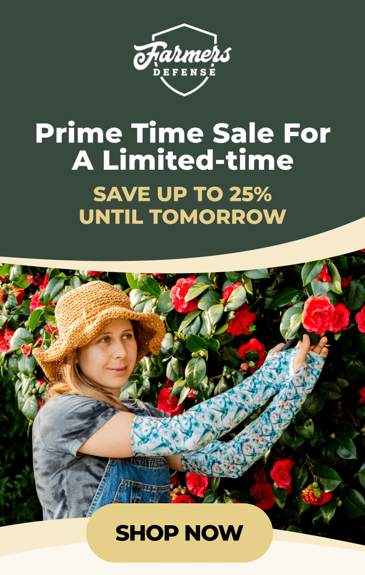 Prime Time Sale For A Limited-time | Save Up To 25% Until Tomorrow