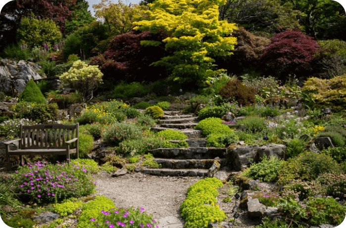 Master Your May Garden: Tips and Tricks for a Thriving Landscape