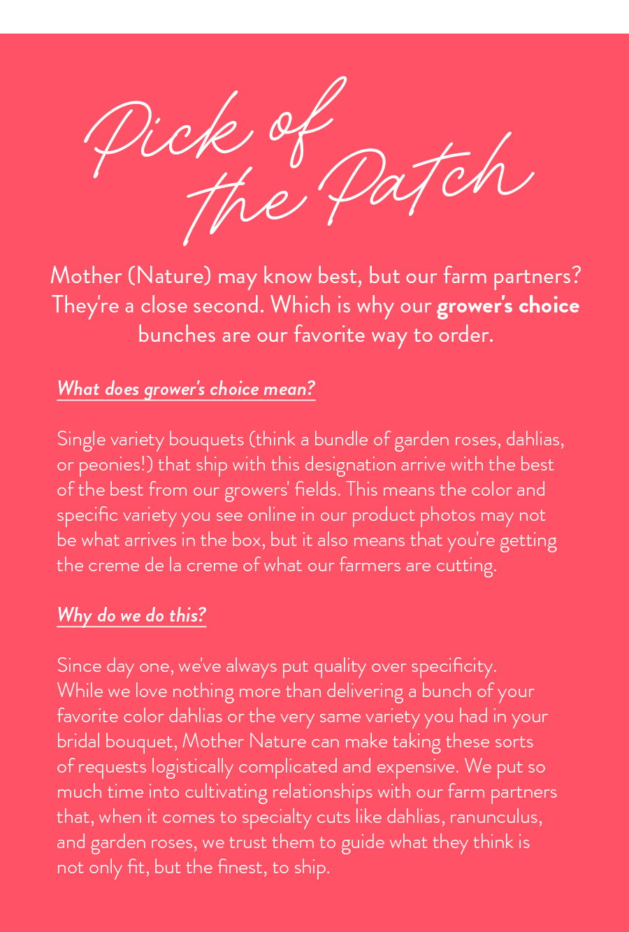 Pick Of The Patch | Mother (Nature) may know best, but our farm partners? They're a close second. Which is why our grower's choice bunches are our favorite way to order. | What does grower's choice mean? Single variety bouquets (think a bundle of garden roses, dahlias, or peonies!) that ship with this designation arrive with the best of the best from our growers' fields. This means the color and specific variety you see online in our product photos may not be what arrives in the box, but it also means that you're getting the creme de la creme of what our farmers are cutting. Why do we do this? Since day one, we've always put quality over specificity. While we love nothing more than delivering a bunch of your favorite color dahlias or the very same variety you had in your bridal bouquet, Mother Nature can make taking these sorts of requests logistically complicated and expensive. We put so much time into cultivating relationships with our farm partners that, when it comes to specialty cuts like dahlias, ranunculus, and garden roses, we trust them to guide what they think is not only fit, but the finest, to ship. 