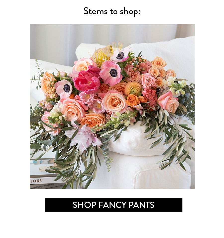 SHOP FANCY PANTS