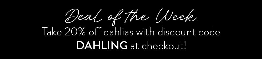 Take 20% off dahlias with discount code DAHLING at checkout 'til Friday!