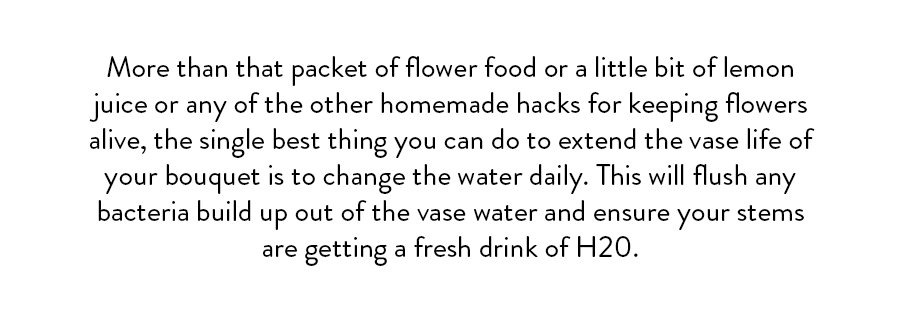 More than that packet of flower food or a little bit of lemon juice or any of the other homemade hacks for keeping flowers alive, the single best thing you can do to extend the vase life of your bouquet is to change the water daily. This will flush any bacteria build up out of the vase water and ensure your stems are getting a fresh drink of H20.