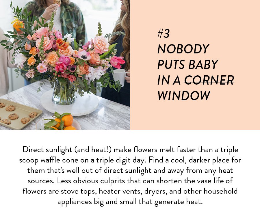 #3 NOBODY PUTS BABY IN A CORNER WINDOW Direct sunlight (and heat!) make flowers melt faster than a triple scoop waffle cone on a triple digit day. Find a cool, darker place for them that's well out of direct sunlight and away from any heat sources. Less obvious culprits that can shorten the vase life of flowers are stove tops, heater vents, dryers, and other household appliances big and small that generate heat. 