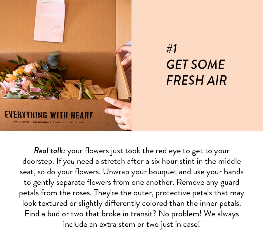 #1 GET SOME FRESH AIR Real talk: your flowers just took the red eye to get to your doorstep. If you need a stretch after a six hour stint in the middle seat, so do your flowers. Unwrap your bouquet and use your hands to gently separate flowers from one another. Remove any guard petals from the roses. They're the outer, protective petals that may look textured or slightly differently colored than the inner petals. Find a bud or two that broke in transit? No problem! We always include an extra stem or two just in case!