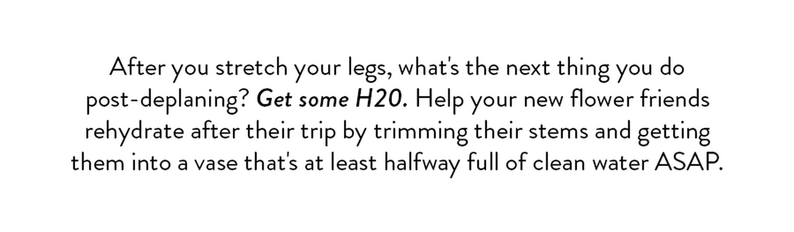 After you stretch your legs, what's the next thing you do post-deplaning? Get some H20. Help your new flower friends rehydrate after their trip by trimming their stems and getting them into a vase that's at least halfway full of clean water ASAP. 