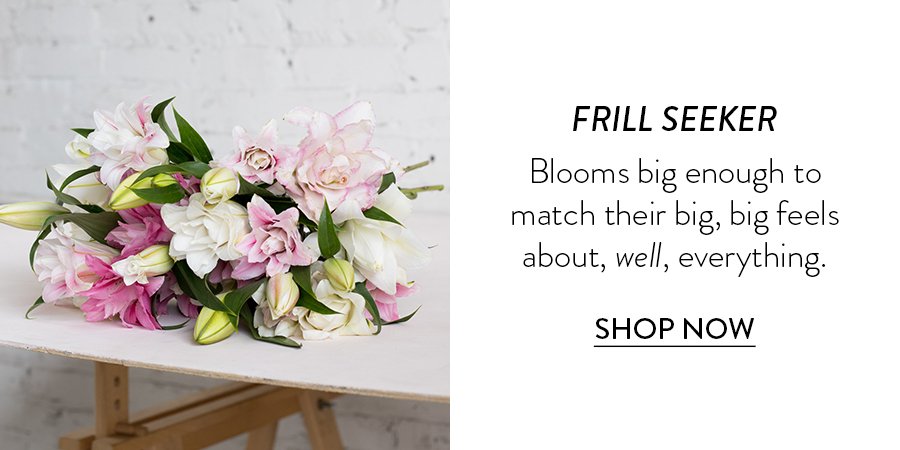 FRILL SEEKER Blooms big enough to match their big, big feels about, well, everything. SHOP NOW