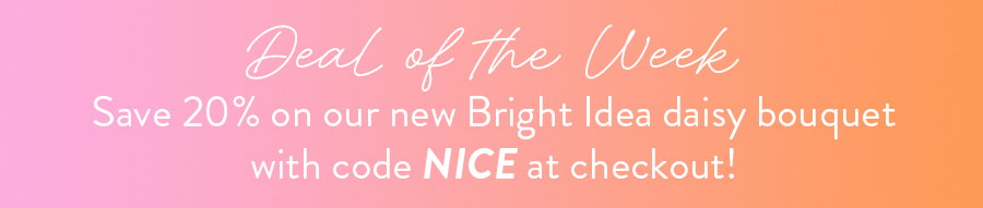 DEAL OF THE WEEK save 20% on our new Bright Idea daisy bouquet with code NICE at checkout