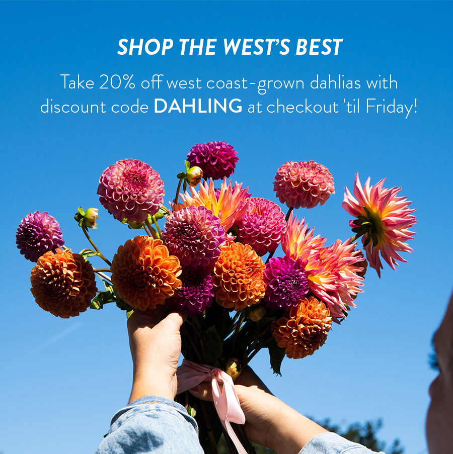 SHOP THE WEST'S BEST | Take 20% off west coast-grown dahlias with discount code DAHLING at checkout 'til Friday!