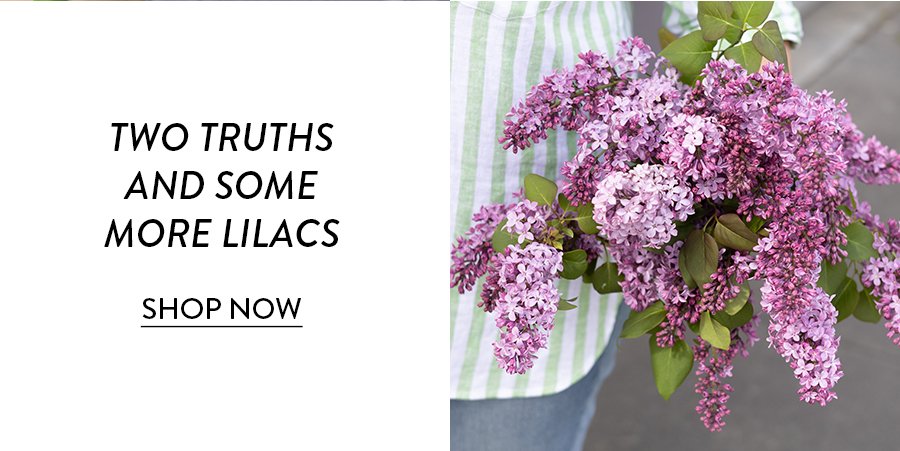 Two Truths And Some More Lilacs