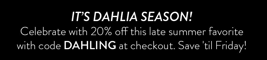 It's dahlia season! Celebrate with 20% off this late summer favorite with code DAHLING at checkout. Save 'til Friday!