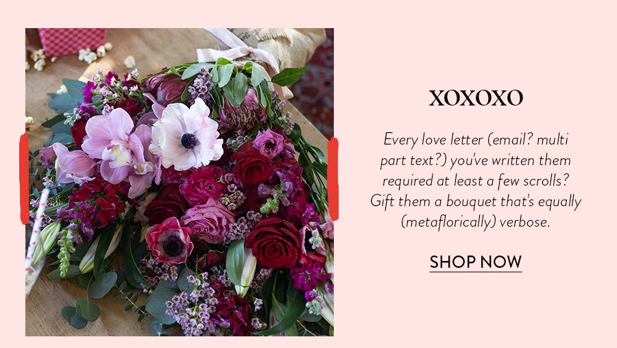 XOXOXO - Every love letter (email? multi part text?) you've written them required at least a few scrolls? Gift them a bouquet that's equally (metaflorically) verbose. 