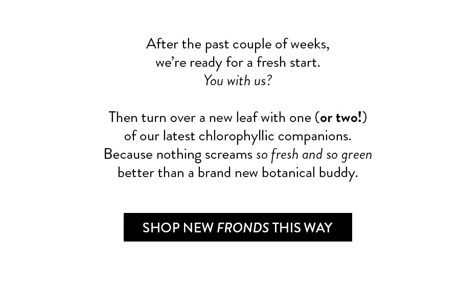 After the past couple of weeks, we’re ready for a fresh start. You with us? Then turn over a new leaf with one (or two!) of our latest chlorophyllic companions. Because nothing screams so fresh and so green better than a brand new botanical buddy. Shop New Fronds This Way