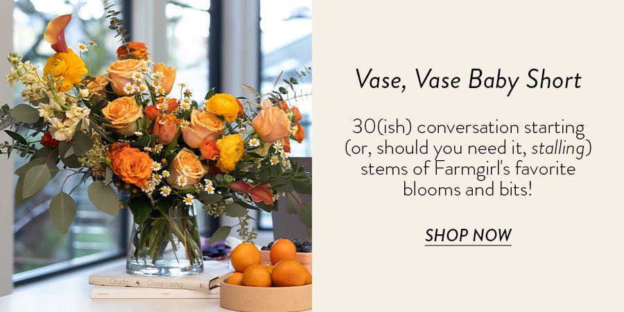 VASE, VASE BABY SHORT 30(ish) conversation starting (or, should you need it, stalling) stems of Farmgirl's favorite blooms and bits!