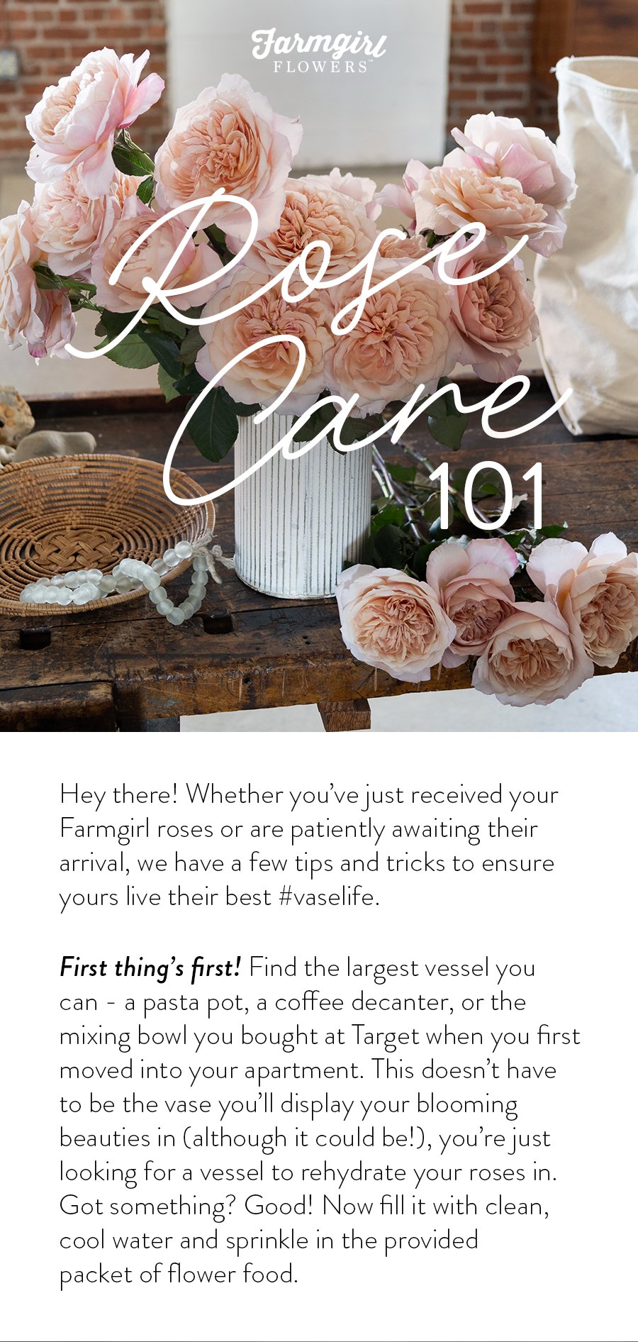 Hey there! Whether you’ve just received your Farmgirl roses are are patiently awaiting their arrival, we have a few tips and tricks to ensure yours live their best #vaselife. First thing’s first! Find the largest vessel you can - a pasta pot, a coffee decanter, or the mixing bowl you bought at Target when you first moved into your apartment. This doesn’t have to be the vase you’ll display your blooming beauties in (although it could be!), you’re just looking for a vessel to rehydrate your roses in. Got something? Good! Now fill it with clean, cool water and sprinkle in the provided packet of flower food.